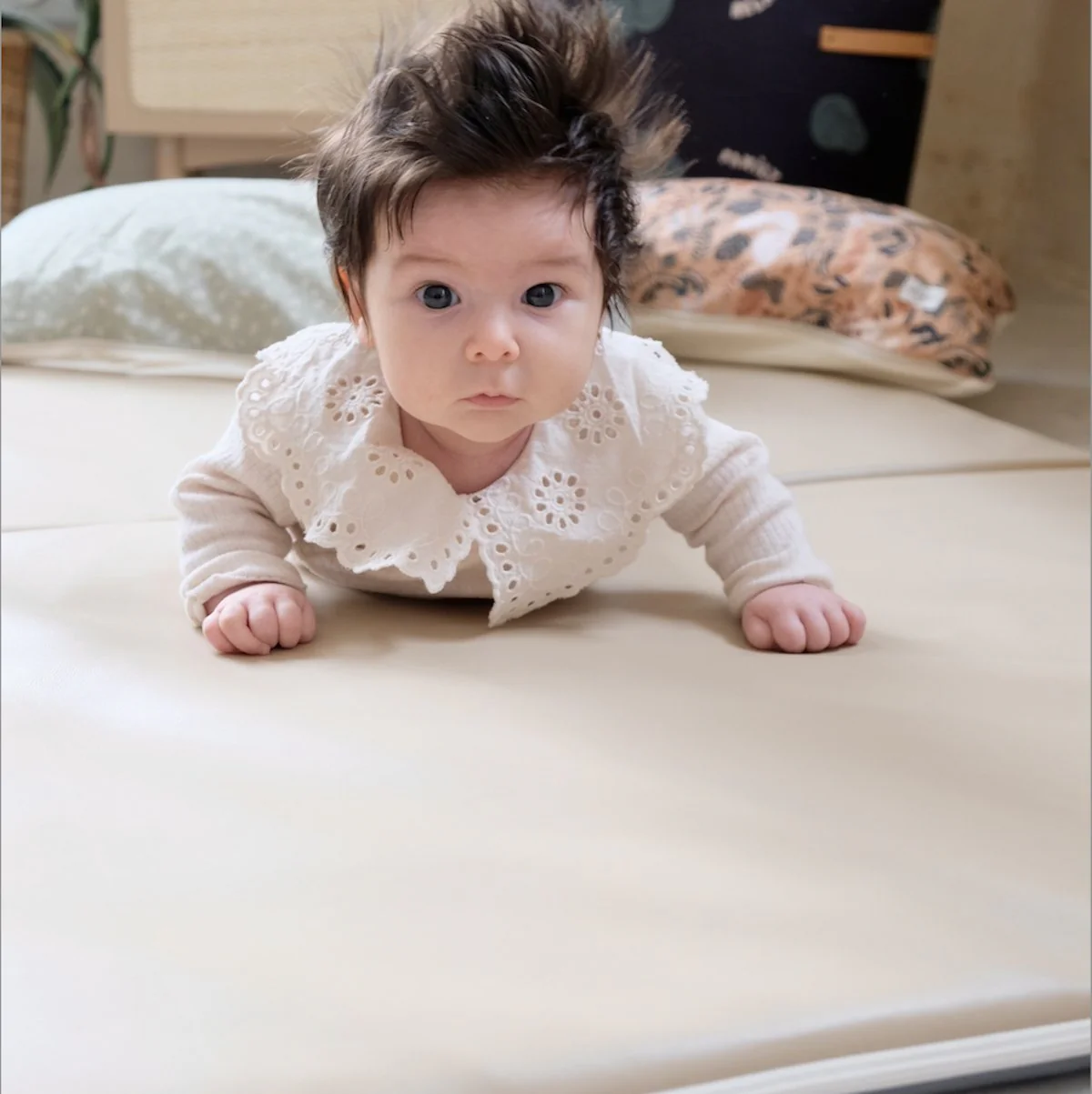 Miniature 1